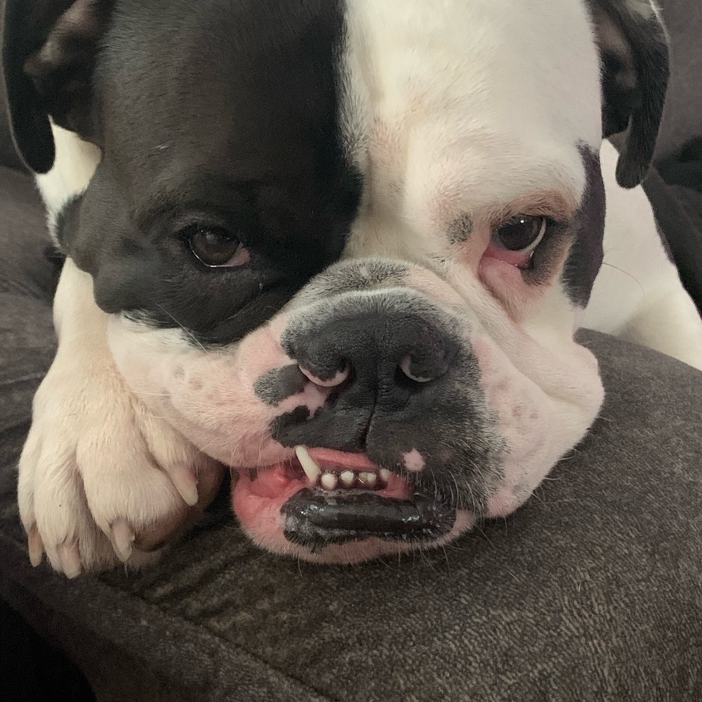 Meet your Posher, Teresa